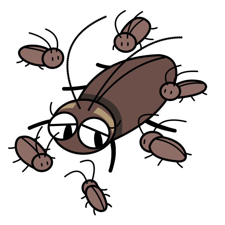 ゴキブリ繁殖