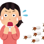 もしシロアリを見つけたらどうしますか？