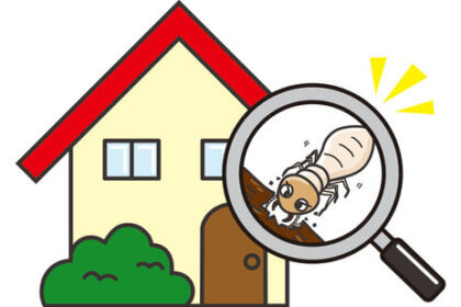 シロアリの大量発生の原因と予防法 – あなたの家を守るためのガイドｰダスキン寒川町支店