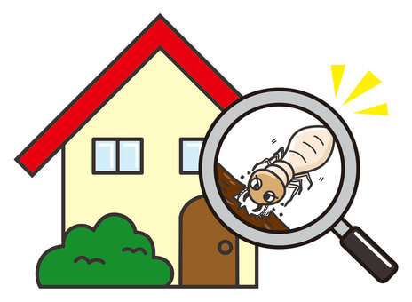 シロアリの大量発生の原因と予防法 - あなたの家を守るためのガイド