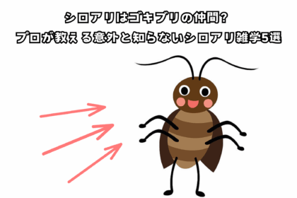 シロアリ雑学５選