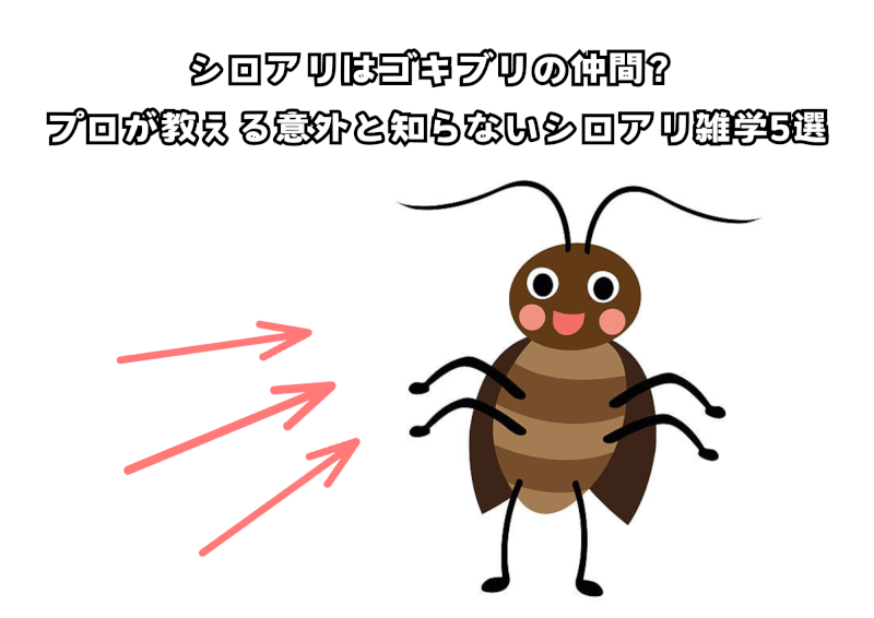 シロアリ雑学５選