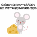 ネズミって本当にチーズが好き？プロが教えるネズミの意外な好物と対策のヒント