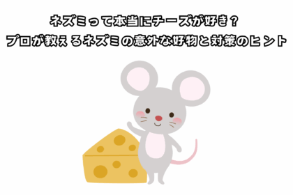 ネズミって本当にチーズが好き？プロが教えるネズミの意外な好物と対策のヒント
