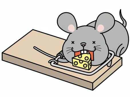 罠に引っかかるネズミ