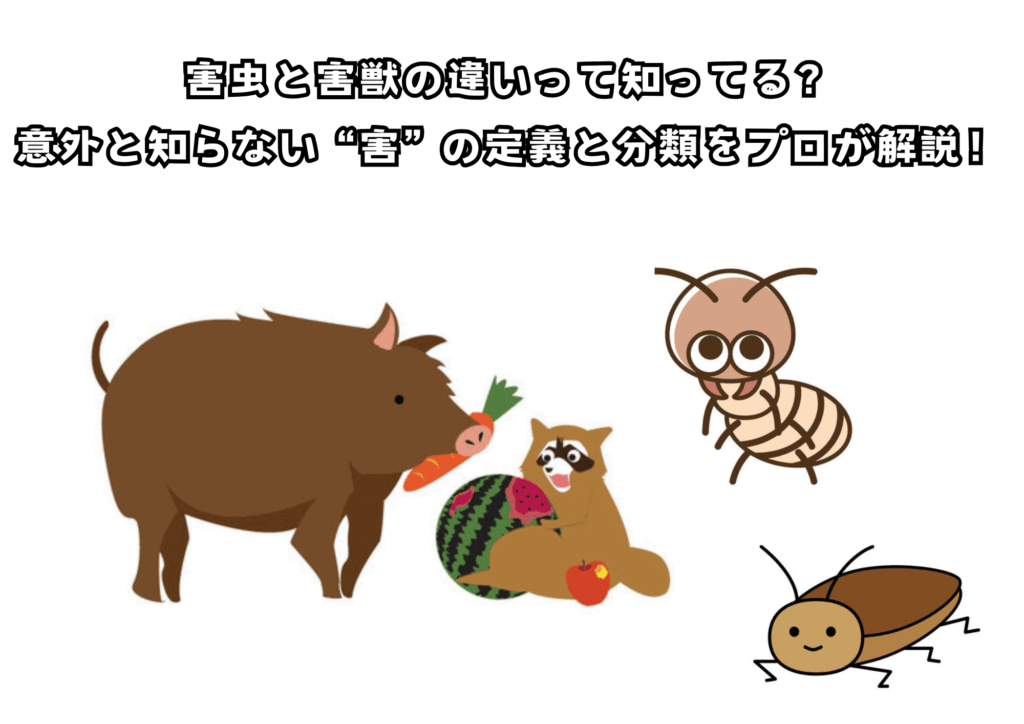 害虫と害獣の違いって知ってる? 意外と知らない“害”の定義と分類をプロが解説!