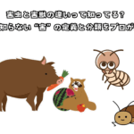 害虫と害獣の違いって知ってる？ 意外と知らない“害”の定義と分類をプロが解説！