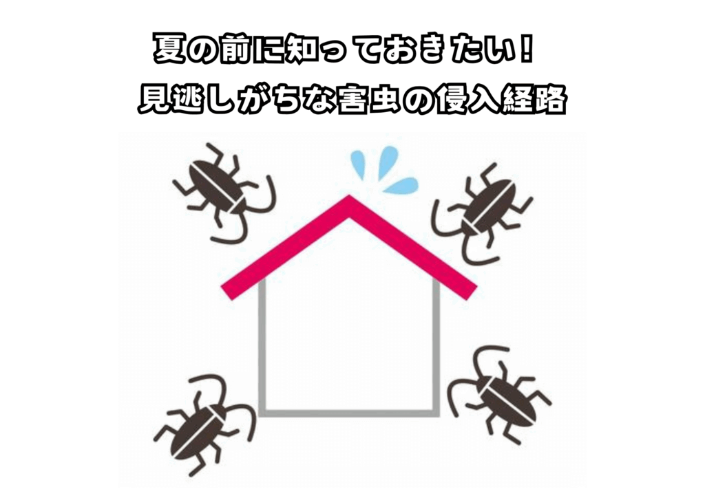 夏の前に知っておきたい！見逃しがちな害虫の侵入経路