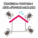 夏の前に知っておきたい！見逃しがちな害虫の侵入経路