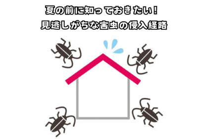 夏の前に知っておきたい！見逃しがちな害虫の侵入経路
